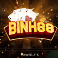 Binh88 | Tải binh88 – Chơi game bài binh hốt bạc đỉnh túi