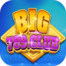 Big789 club| Chơi game nổ hũ nhận ngay code tân thủ siêu ưu đãi